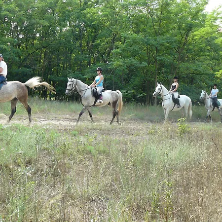 Gereby Kuria Es Lovasudvar מלון