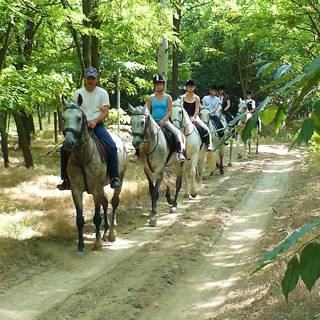 Gereby Kuria Es Lovasudvar Hotel Lajosmizse