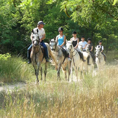 Gereby Kuria Es Lovasudvar 3* לאיושמיז'ה