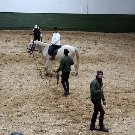 Gereby Kuria Es Lovasudvar מלון 3*