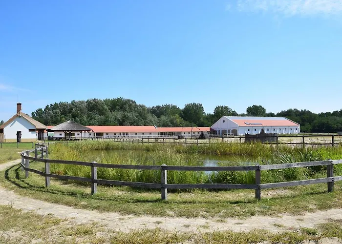Gereby Kuria Es Lovasudvar Hotel Lajosmizse